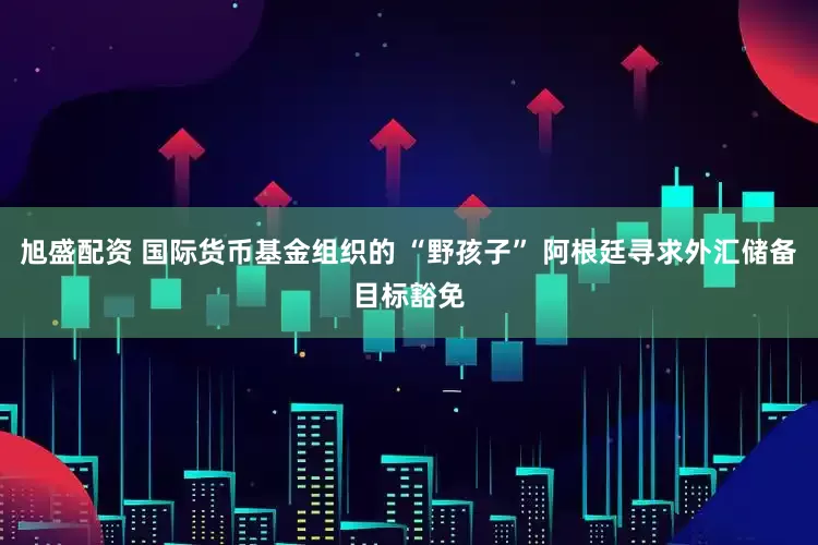旭盛配资 国际货币基金组织的 “野孩子” 阿根廷寻求外汇储备目标豁免