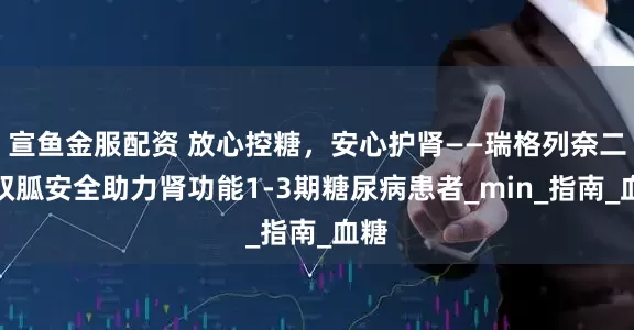 宣鱼金服配资 放心控糖，安心护肾——瑞格列奈二甲双胍安全助力肾功能1-3期糖尿病患者_min_指南_血糖