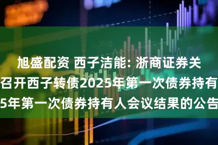 旭盛配资 西子洁能: 浙商证券关于适用简化程序召开西子转债2025年第一次债券持有人会议结果的公告
