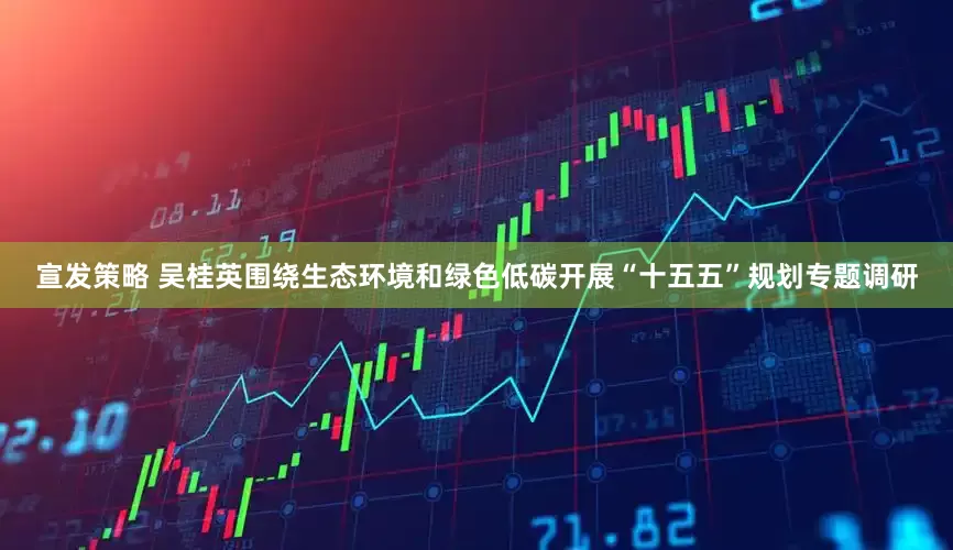 宣发策略 吴桂英围绕生态环境和绿色低碳开展“十五五”规划专题调研