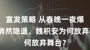 宣发策略 从春晚一夜爆红到悄然隐退，魏积安为何放弃舞台？