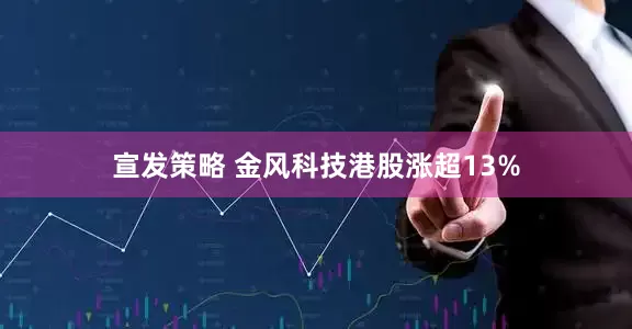 宣发策略 金风科技港股涨超13%